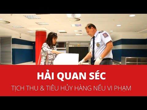 Hải quan Séc Kiểm tra Hàng hóa Mang từ Việt Nam | Foci