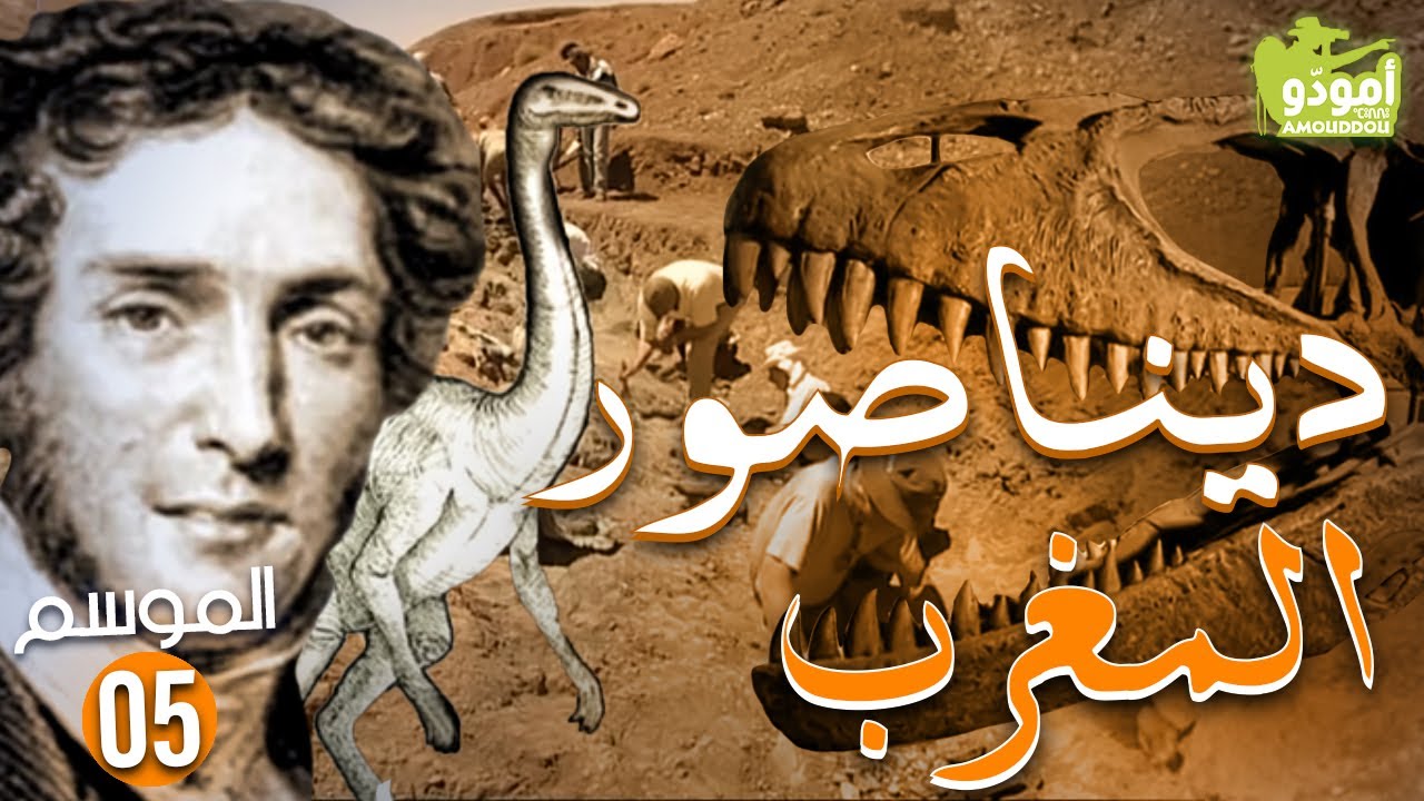 AmouddouTV 078 Le Dinosaure du Maroc أمودّو/ ديناصور المغرب