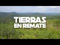 Tierras en REMATE excelente oportunidad Tizimin Yucatán