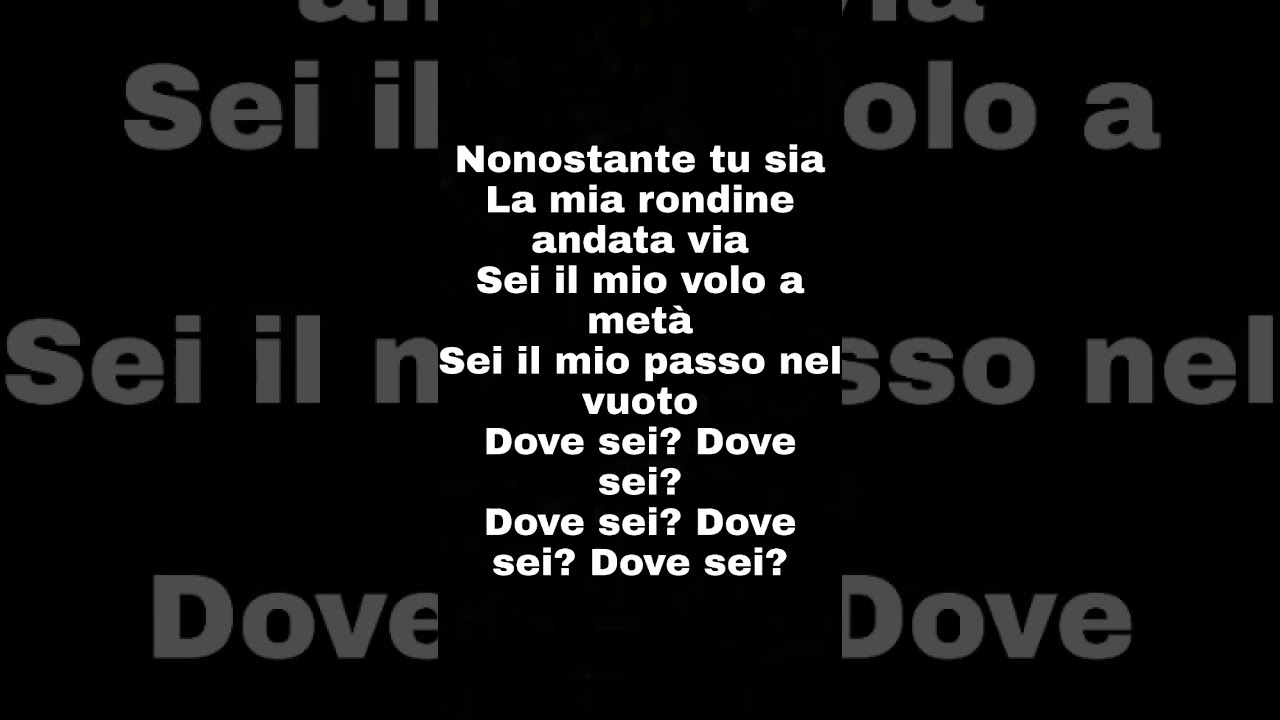 nonostante tu sia la mia rondine andata via