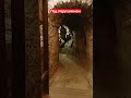 Под Иерусалимом #shorts