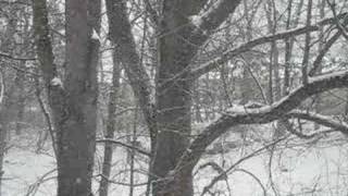 Snow Day In The Shenandoah Valley