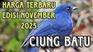 Latest prices for Ciung Batu birds, November 2025 edition