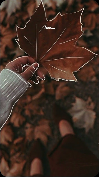 Noah Tak lagi sama #liriklagu #shorts