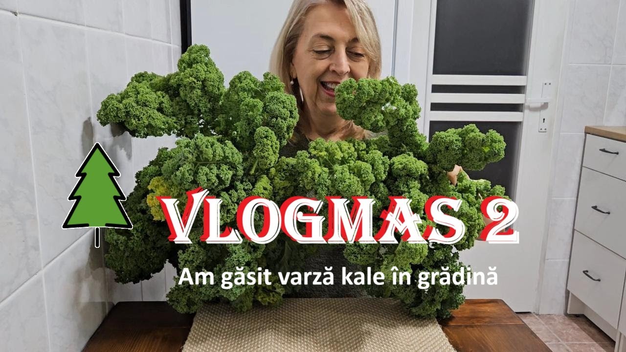Vlogmas 2/ Am gasit varza kale in gradina
