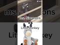 ms. Simmons vs little donkey. 