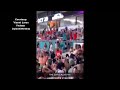 Fans save falling cat from upper deck at Hard Rock Stadium, video goes viral
