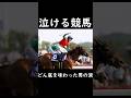 【泣ける競馬】どん底を味わった男の涙【ゆっくり解説】#shorts #競馬 #nhkマイルカップ