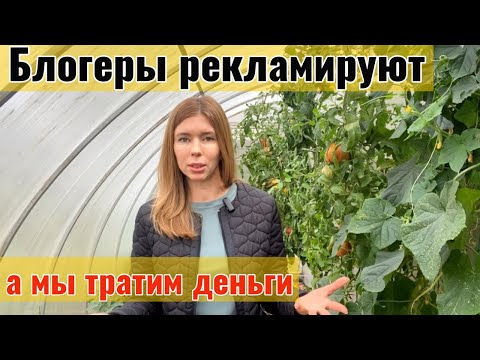 Что ВНЕСТИ В