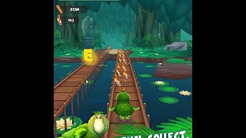Crazy-Cool Feathery Hero - Kakapo Run: Animal Rescue Game #livesteam