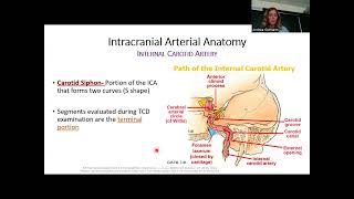 The Intracranial Cerebrovascular System with Mrs. Gutmann