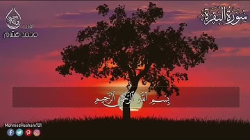 رحلة حفظ القران | الصفحة 16 - سورة البقرة الايات 105-102 مكررة سبع مرات لتسهيل الحفظ بصوت محمد هشام