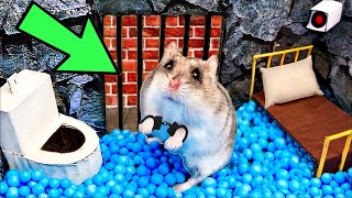 🐹Hamster Escapes the Amazing Maze and Traps😱[OBSTACLE COURSE]😱 + ZOMBIES screenshot 5
