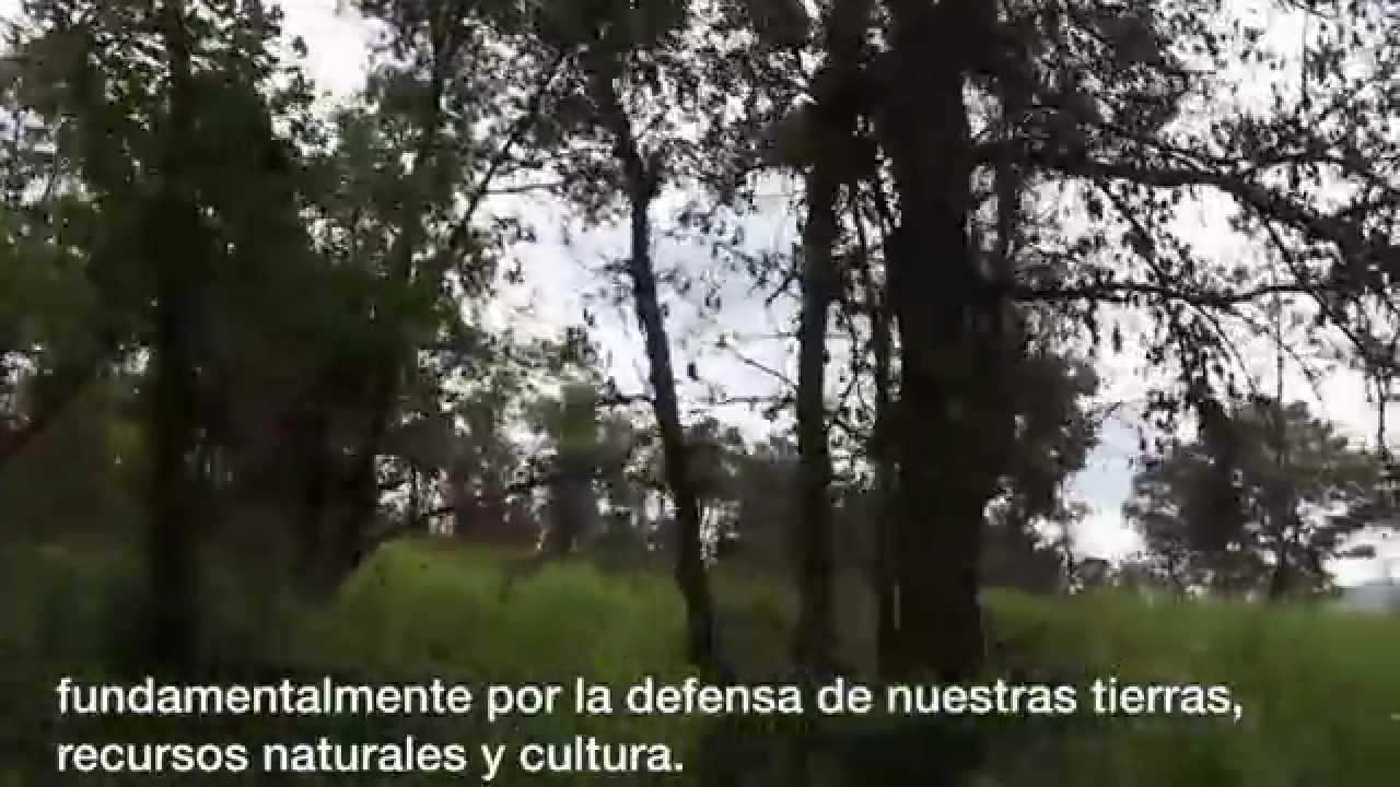TUKURU IRETA P'ORHE, RONDA POR EL BOSQUE.