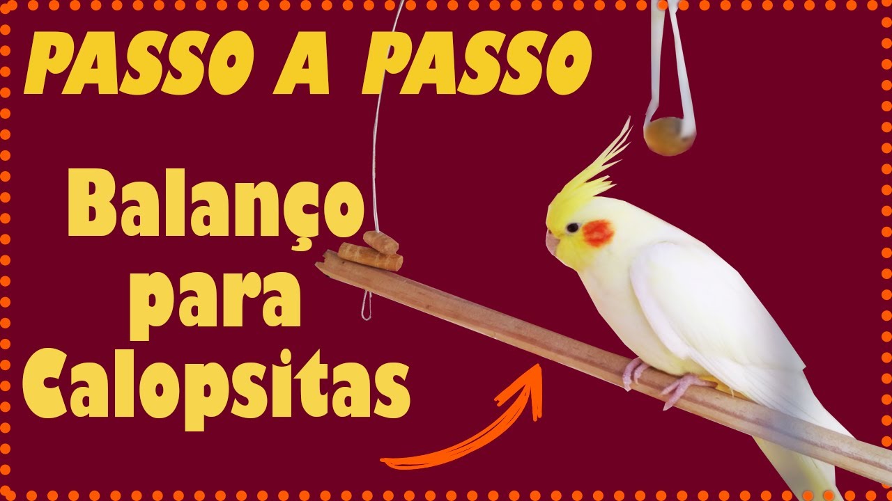 04 - PASSO A PASSO BALANÇO COM BRINQUEDO PARA CALOPSITAS