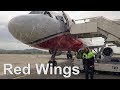 Перелет Сочи - Домодедово на Airbus A321 а/к Red Wings