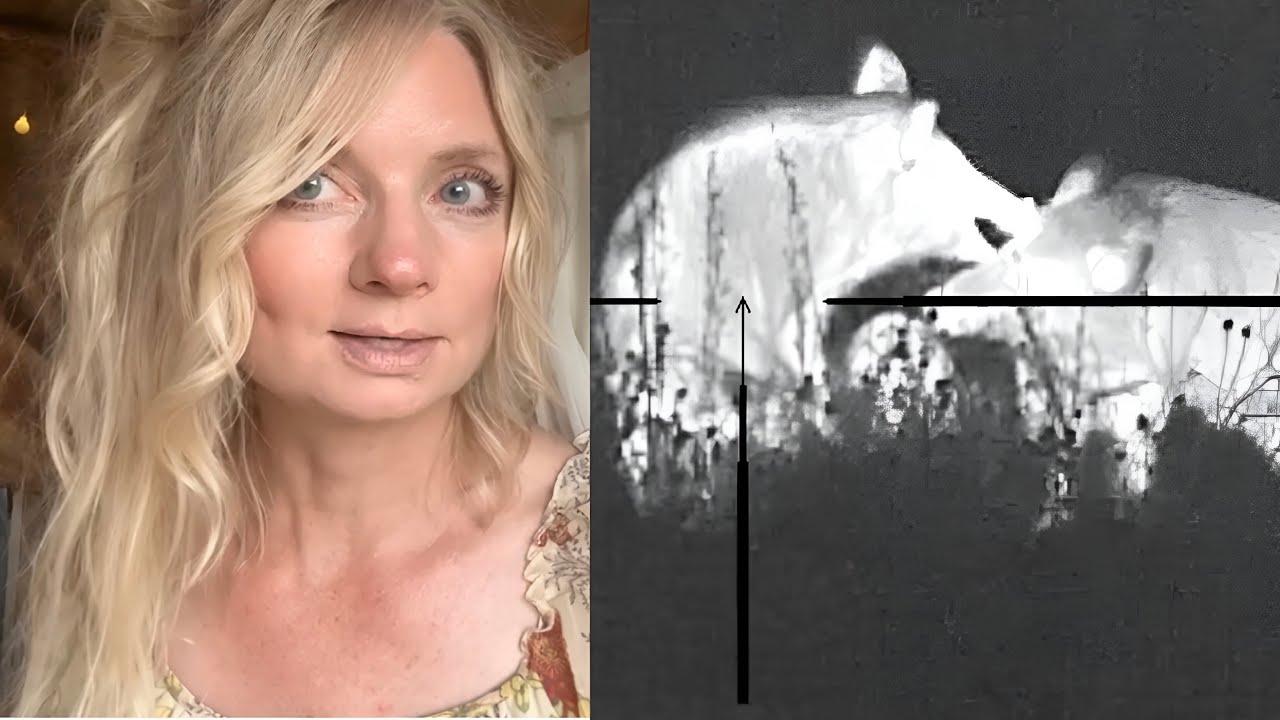 Hog Hunting Two Hogs One Bullet And Thoughts On Camper Life YouTube hog-hunting-two-hogs-one-bullet-and-thoughts-on-camper-life-youtube
