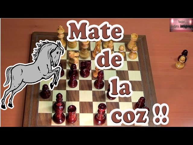 SENSACIONAL Paul Morphy vence em 13 lances entregando a Dama e com ameaça  de Mate ataca sem trégua! 