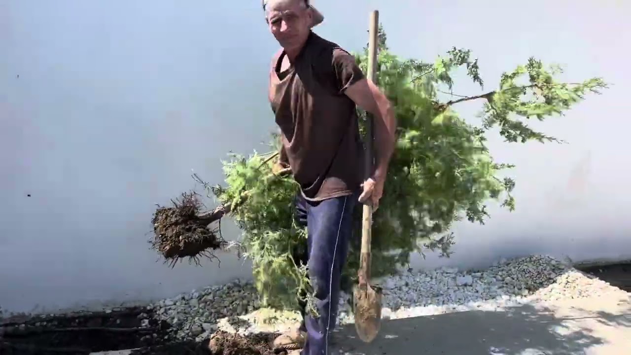 Един ден на… Румен, който вече не пие - Документален филм на Краси Гешева Киров