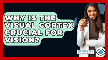 Why Is The Visual Cortex Crucial For Vision? - Optometry Knowledge Base