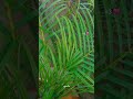 #ytshorts #friendship_whatsapp_status #viralshort