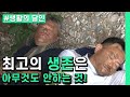 [생활의 달인] 최고의 생존은 아무것도 안하는 것! (셰프&생존 전문가 무인도 서바이벌)│Ep.492