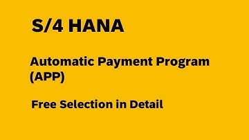 S/4 HANA Automatic Payment Program (APP) F110 -- Free Selection