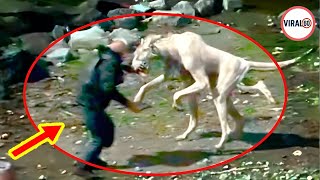 Disturbing Creatures That Attacked People & Got Caught On Camera !