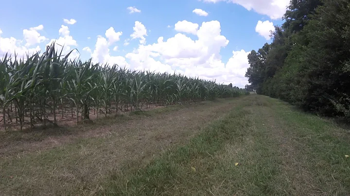 ATV riding