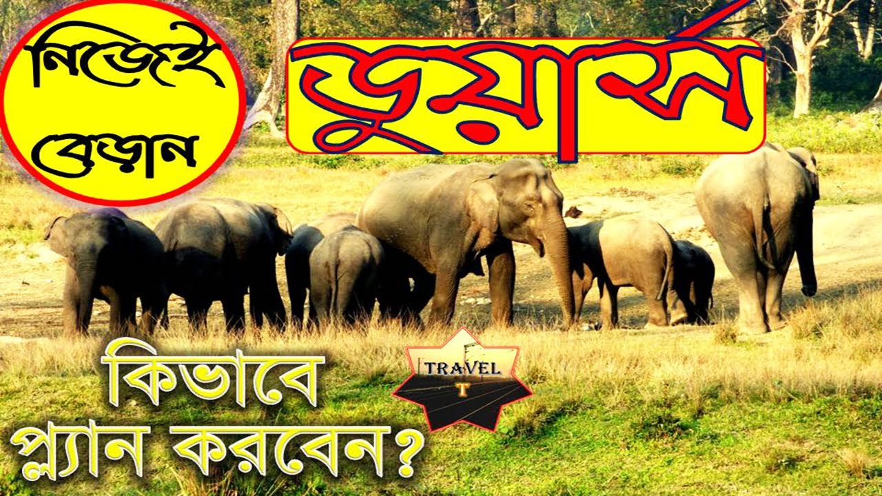 kolkata to dooars tour plan