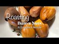 Roasting bunya nuts