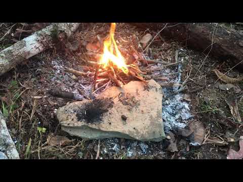 Primitive Glue: Pine