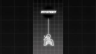 How One Breathing Technique Changed My Life Forever #breathing #pranayama