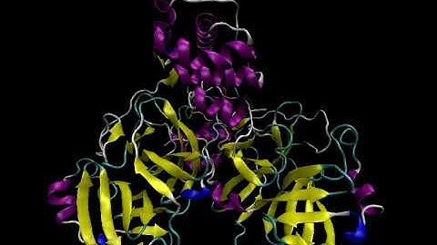 Molecular dynamics simulation of #SARSCoV2 main protease: 3CLpro/Mpro