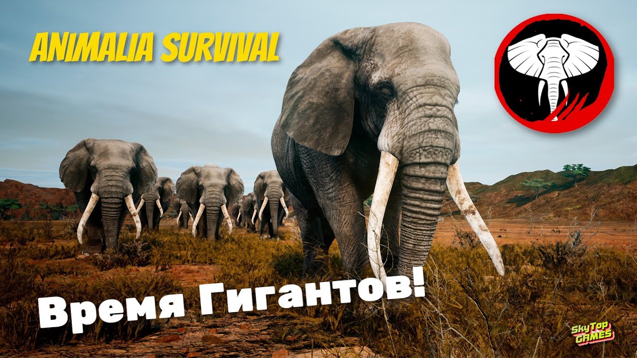 Elephants time. Animalia Survival игра. Animalia игра Саванна. Animalia Survival список животных. Феофилов и слон стрим.