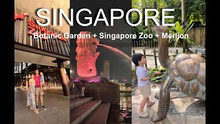 Singapore Day 5 Itinerary Botanic Garden, Singapore Zoo, Merlion Park