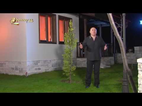 Николай Учкунов Кажи ми друже