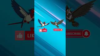 Ash's Swellow Vs Ash's Staraptor (With Proof) #vs #pokemon