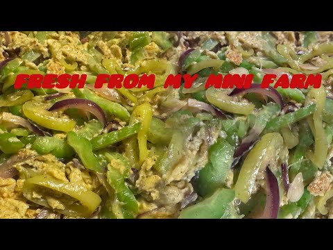 GINISANG AMPALAYA WITH EGGS AND HOT PEPPERS 🌶️ @JaperSniperOfficial @lynofficial2565 @SagipSquad