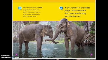 Non-Fiction Text Features