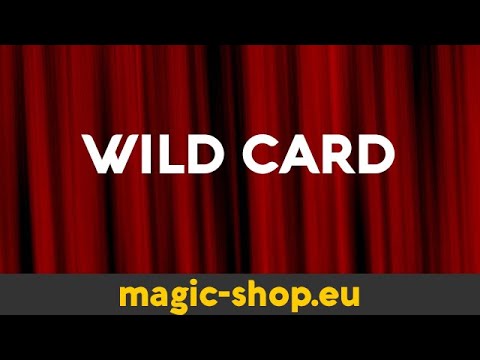 Postani čarodej - WILD CARD - Čarovnik Sam Sebastian Magic Factory