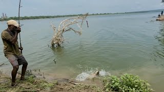 Professional Fisherman Hunting Catching Big Fishes In Riverunbelievable Single Hook Fishing