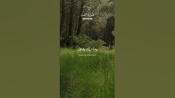 Follow us on Tiktok ‎@Qr2ankarim  #سورة_النمل #quran