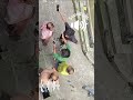 #fazirbazar #sandhyabazar @hwhcitypolice #viral #illegal #kolkata #save #chhapri #threat #open #
