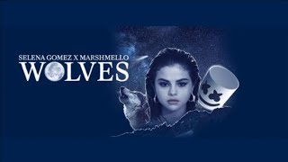 Marshmello x selena gomez - wolves (instrumental)