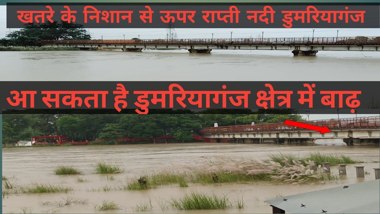 खतरे के निशान से ऊपर राप्ती नदी डुमरियागंज 🙄आ सकता है डुमरियागंज क्षेत्र में बाढ़ #Raptinadi