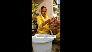 Self Watering Plant Hacks|4 Methods|2से3 दिन पानी नहीं देना पड़ेगा पोधो मे|#ashasgardenstory#shorts screenshot 1