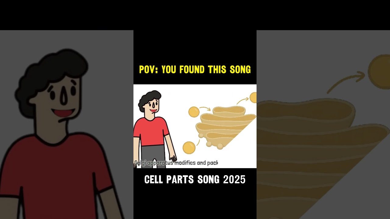 #specialized #cell  🧬 | Types of Cells Explained