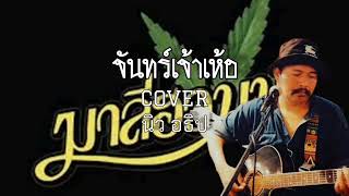 จันทร์เจ้าเหอ - มาลีฮวนน่า COVER นิว อธิป