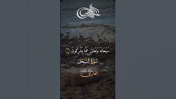 ما تيسر من الذكر الحكيم تلاوة خاشعة مؤثرة 🙏❤️😭🎉